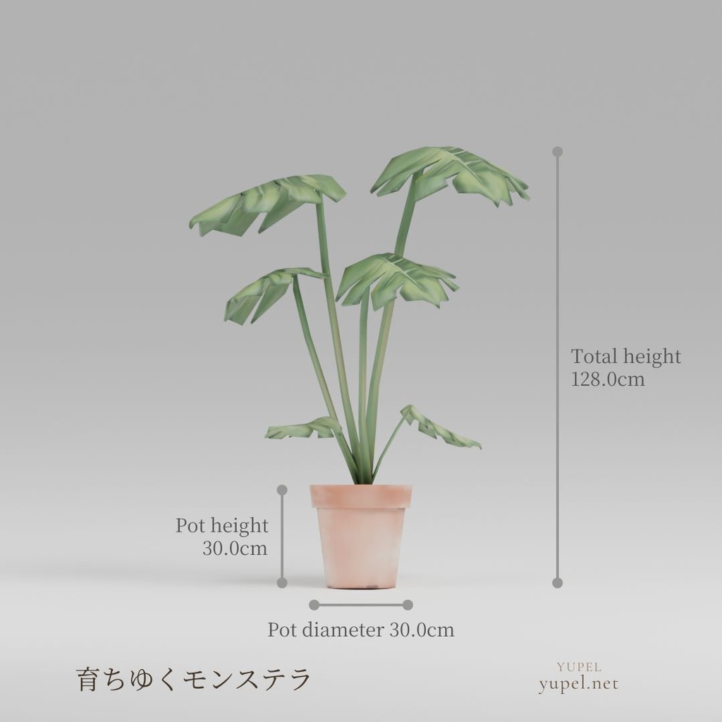 観葉植物 8種21モデル|ローポリ3Dモデル(FBX・GLB)