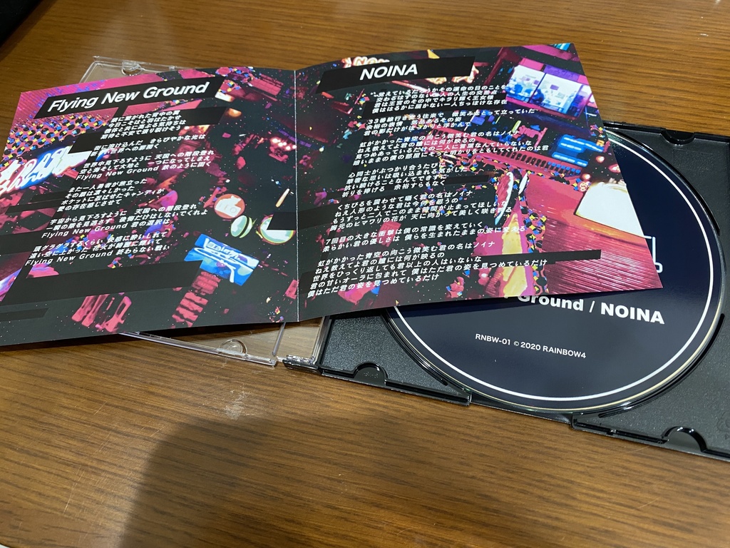 Flying New Ground / NOINA