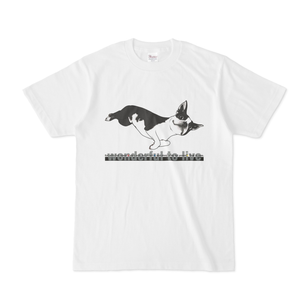 ボストンテリアTシャツ