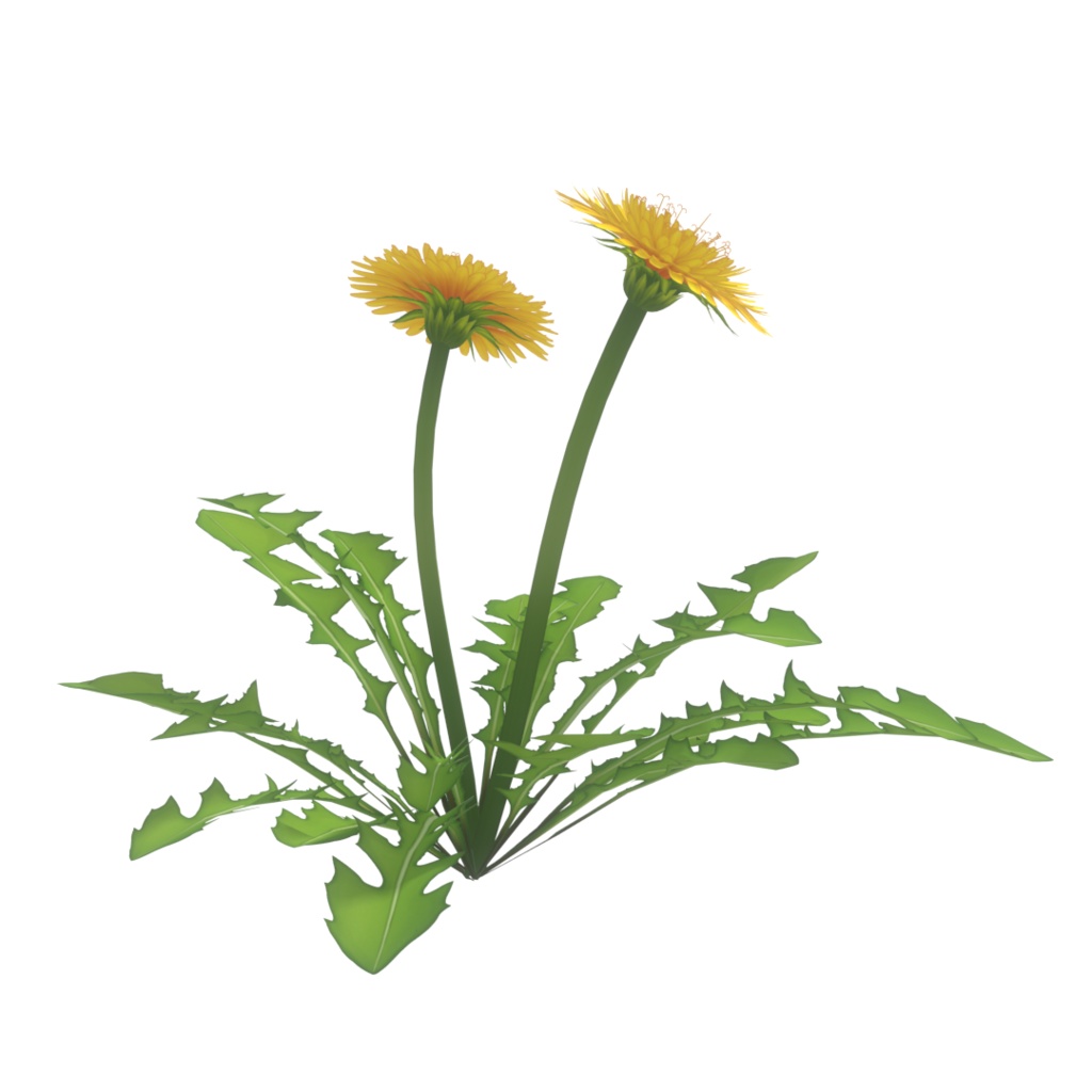 タンポポ-3Dモデル (.blender/.fbx)