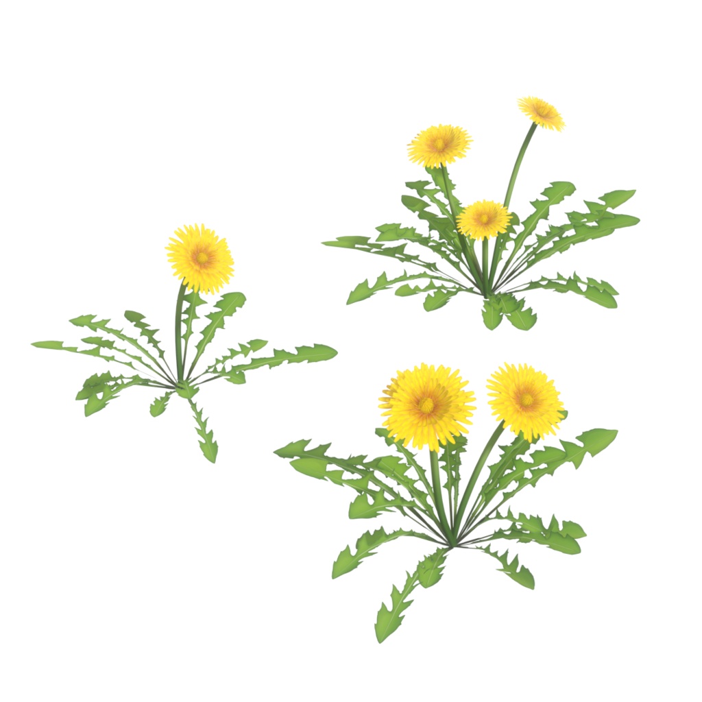 タンポポ-3Dモデル (.blender/.fbx)