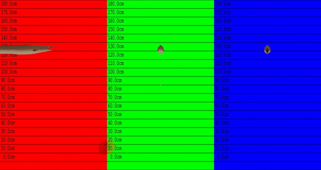 【無料】はも(鱧) 3Dモデル