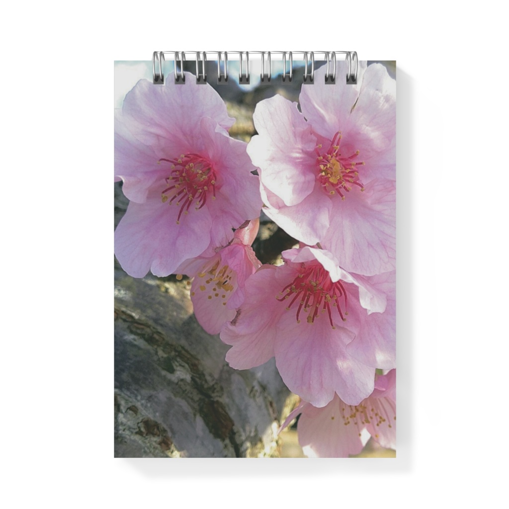 桜🌸メモ帳