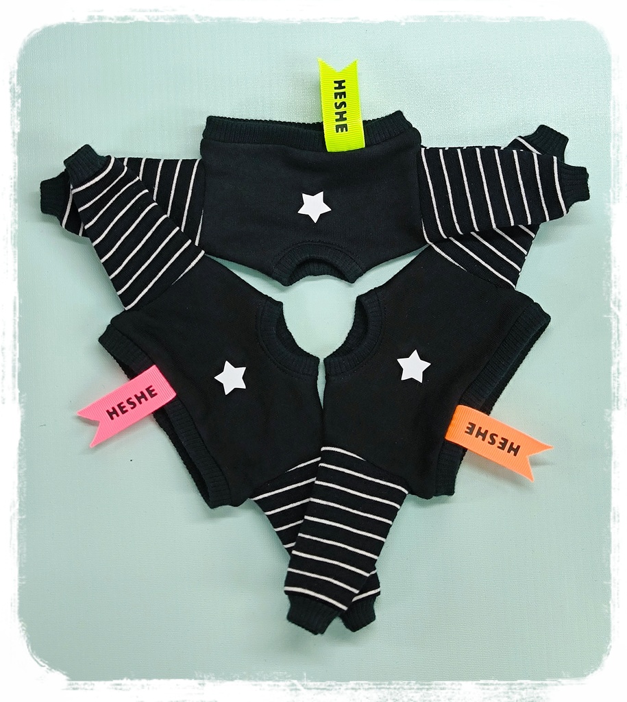 【1/6】STAR FLAG