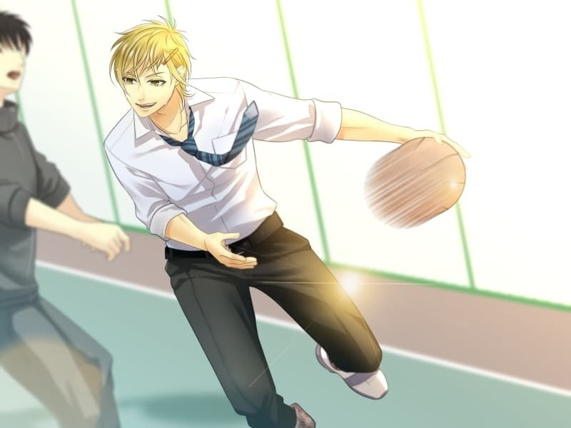 DL版「シュネーシュメルツェの箱庭」