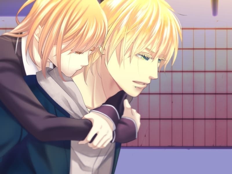 DL版「シュネーシュメルツェの箱庭」