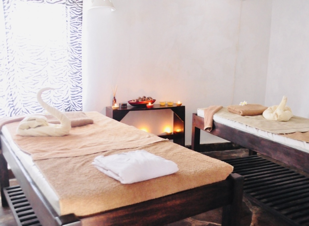 暮らしに寄り添うアーユルヴェーダ(PDF)