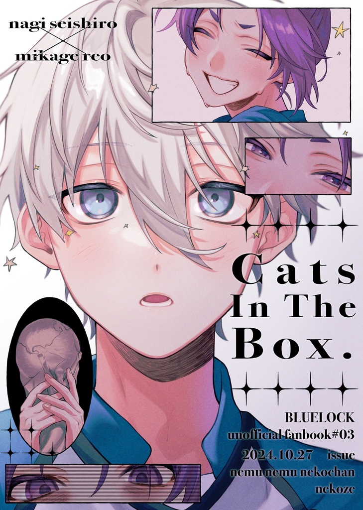Cats In The Box.