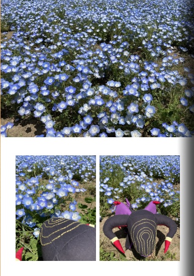 にゃるさんぽ ~花と緑と時々混沌~