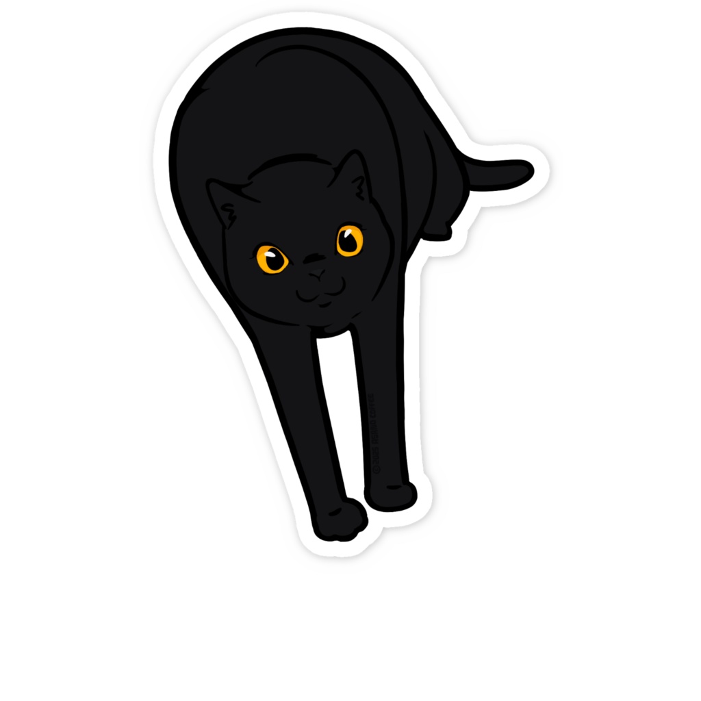 ねこ CAT 11 なに!?