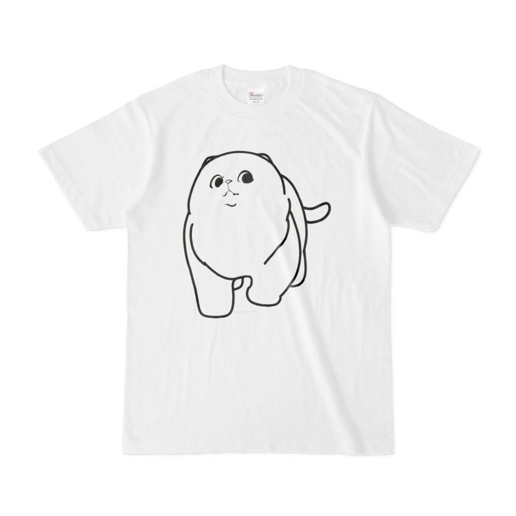 Tシャツ　ねこ5kg+級
