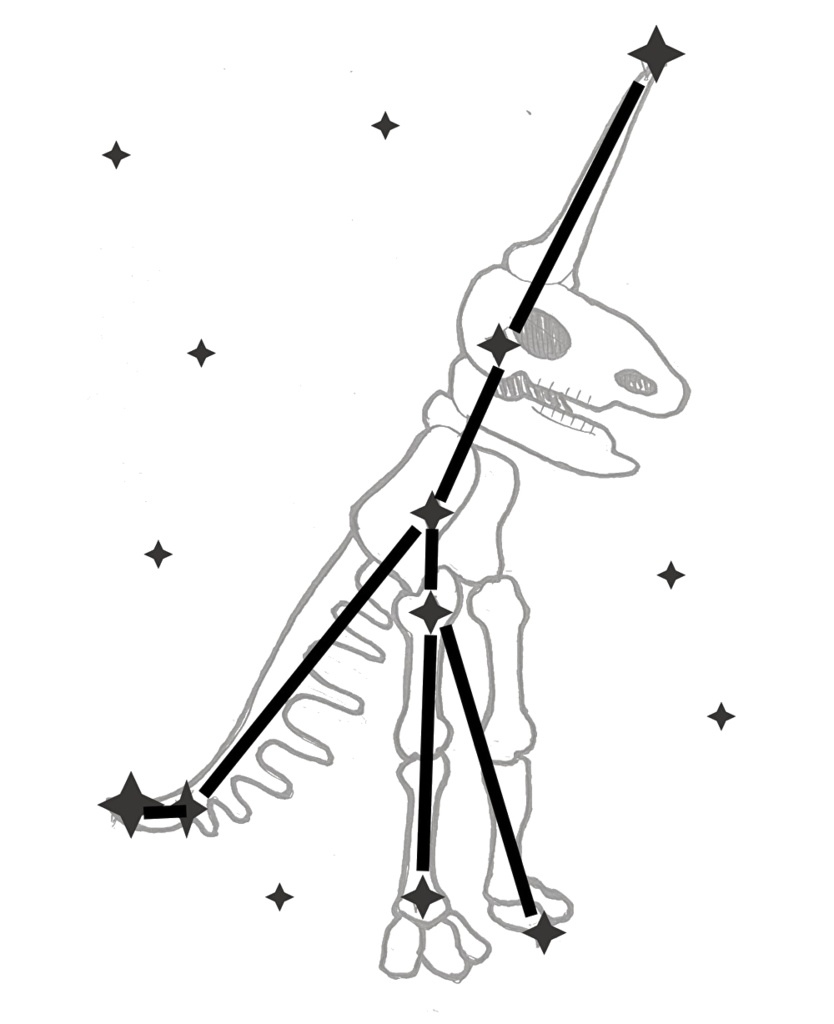 マグデブルク・ユニコーン座Tシャツ