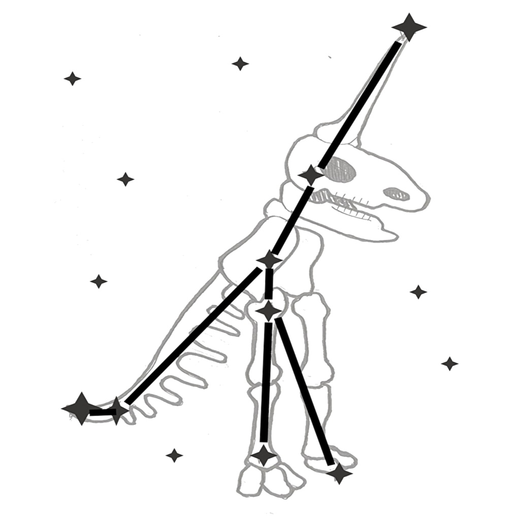 マグデブルク・ユニコーン座Tシャツ