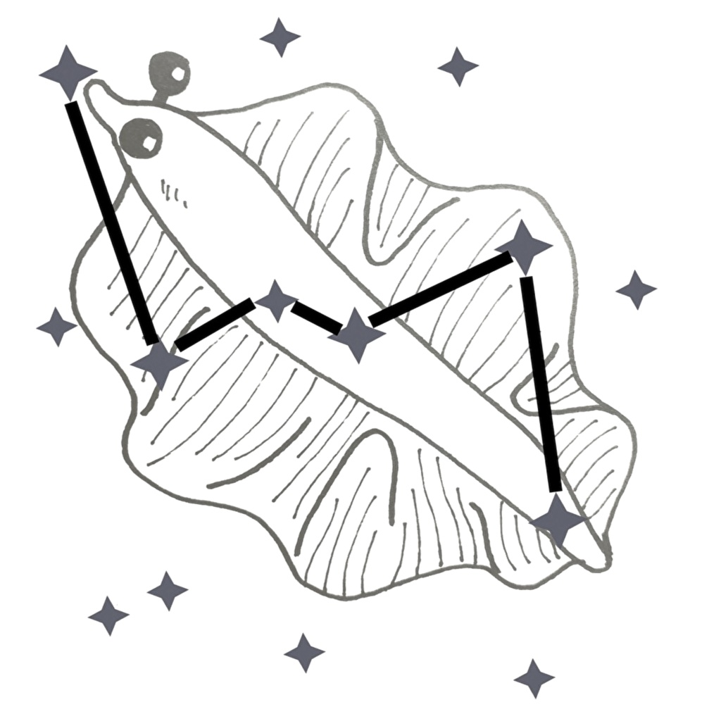 スカイフィッシュ座Tシャツ