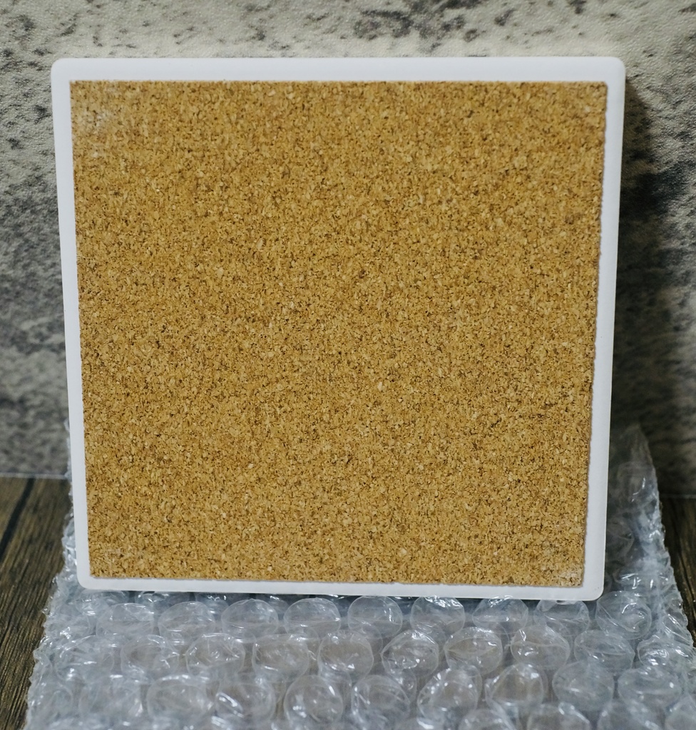 コースター 20230909