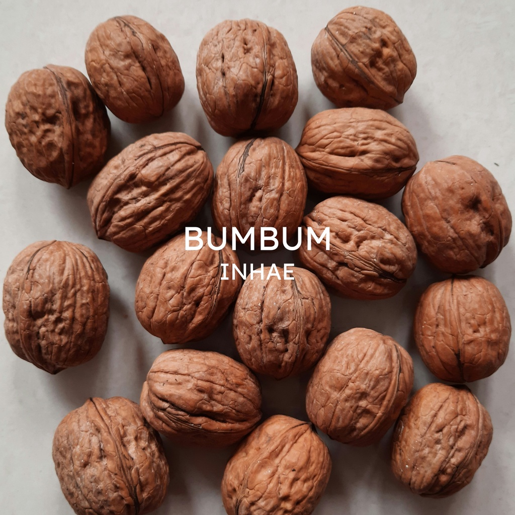 BUMBUM-Abstract Conscious Hip-Hop Mega Asset Pack (28 Styles)
