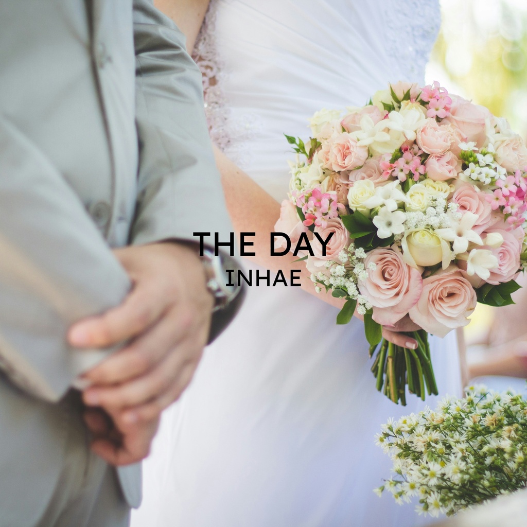 THE DAY-Cinematic Wedding Pop Mega Asset Pack (25 Styles)