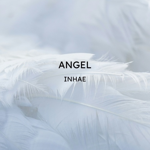 ANGEL-Sweet Y2K Boyband Pop Mega Asset Pack (25 Styles)