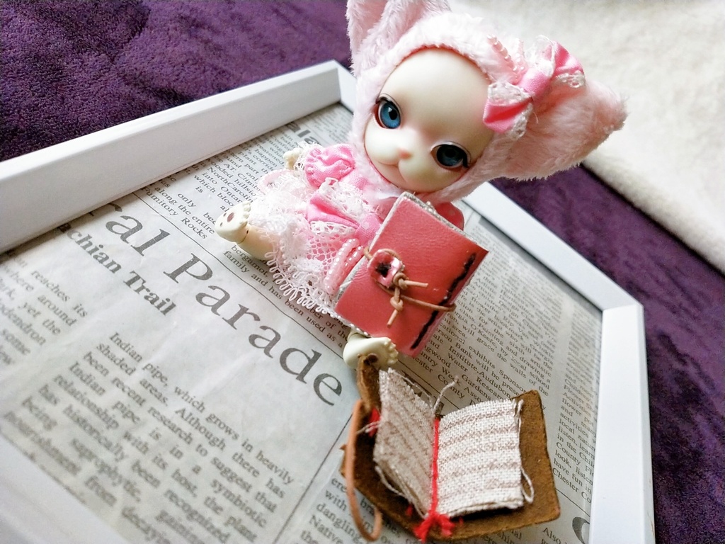 ねんどろいどドール用 本