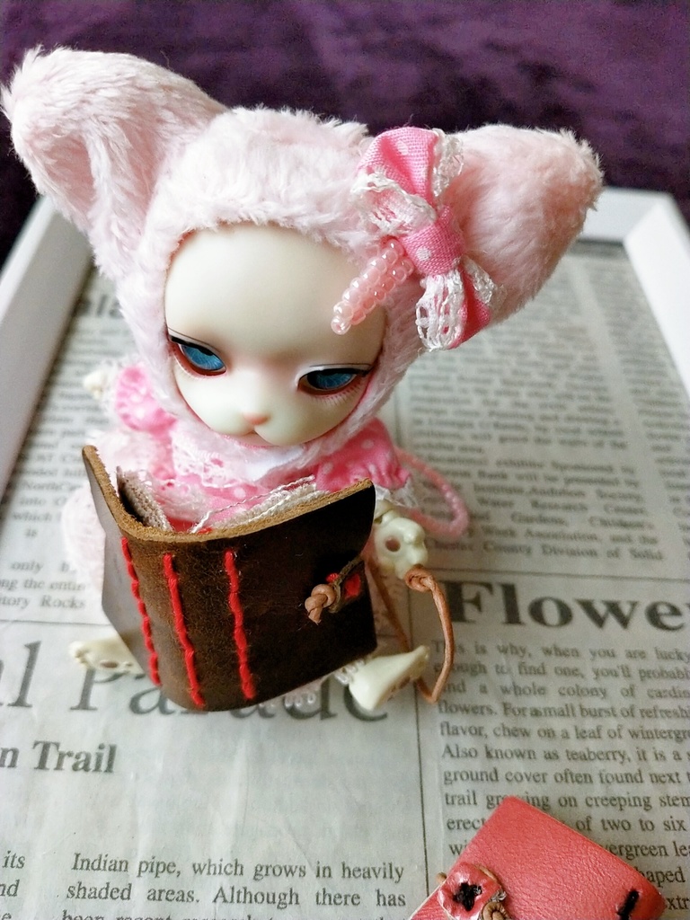 ねんどろいどドール用 本