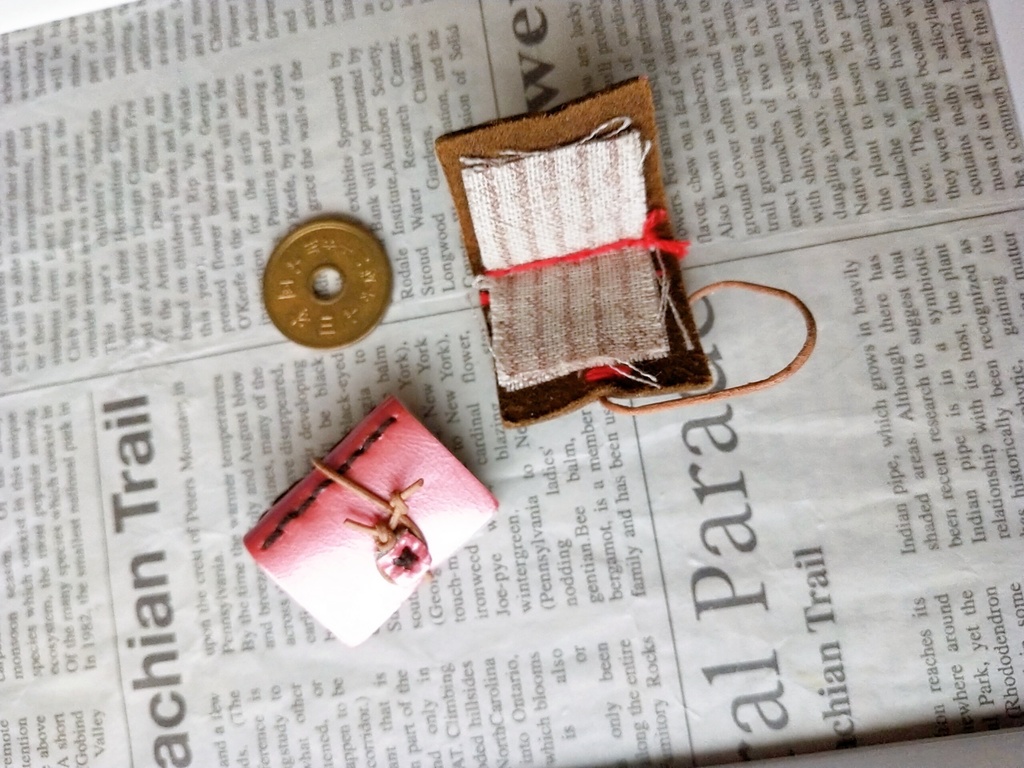 ねんどろいどドール用 本