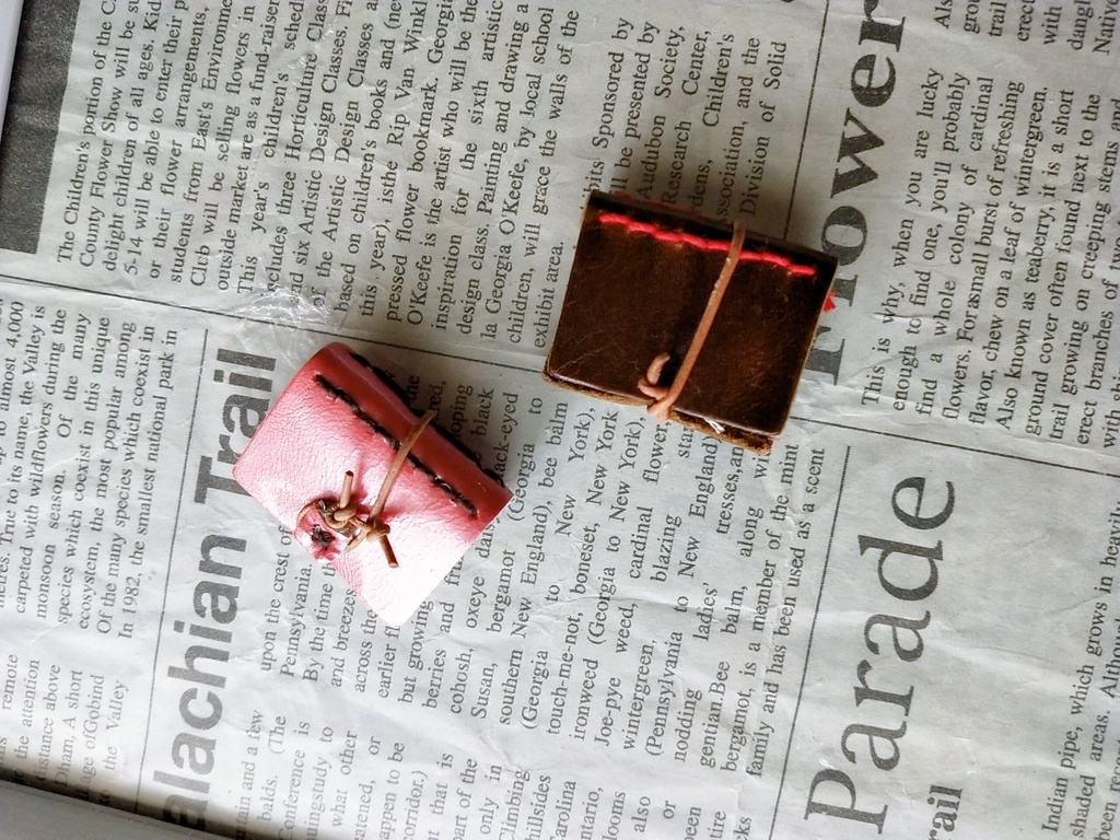 ねんどろいどドール用 本