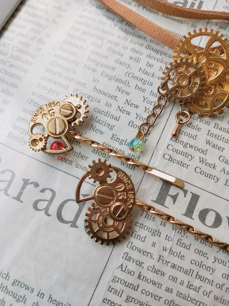 歯車アクセサリーセット