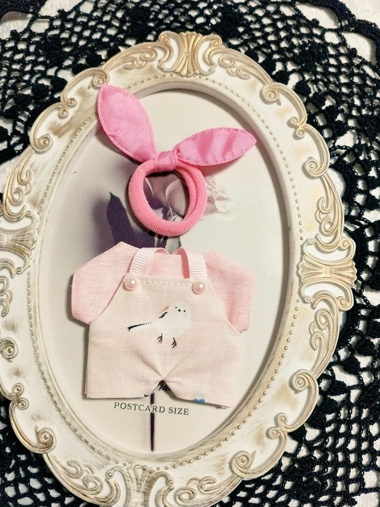 カラーシマエナガサロペット3点セット