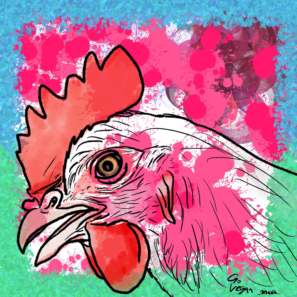 NO CHICKEN Tシャツ