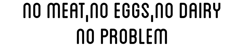 No Problem パーカー