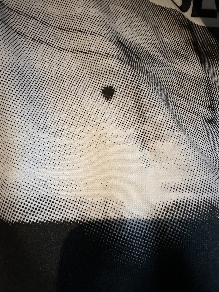 THE HANGOVERS "WAKE UP, LOSER" T-Shirt