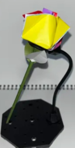 薔薇
