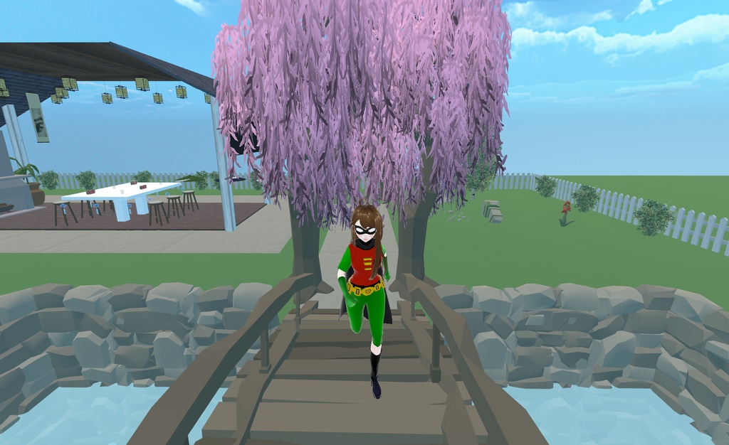 FREE Teen Titans Raven Robin Uniform