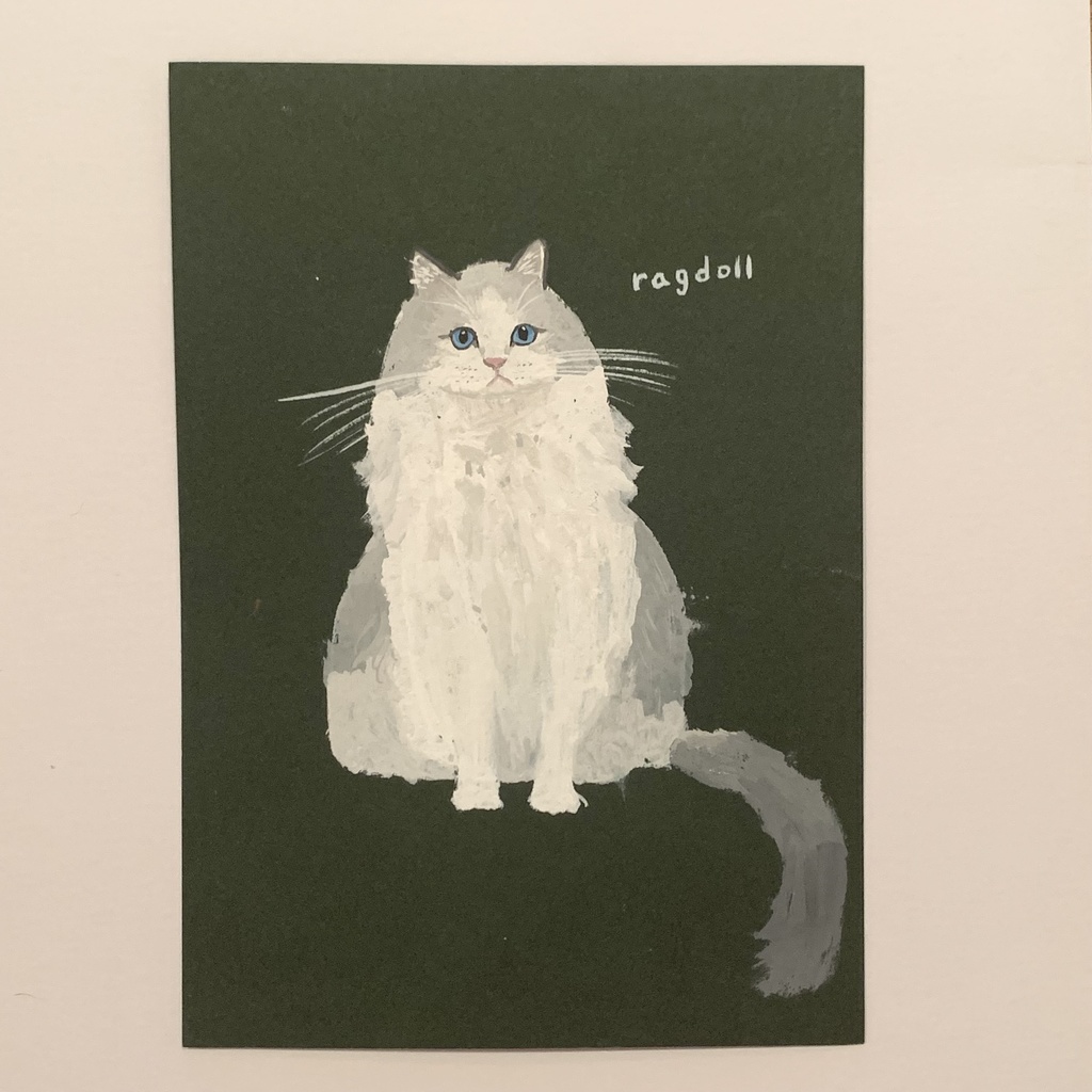 ラグドール 猫 イラスト ポストカード - インテリア