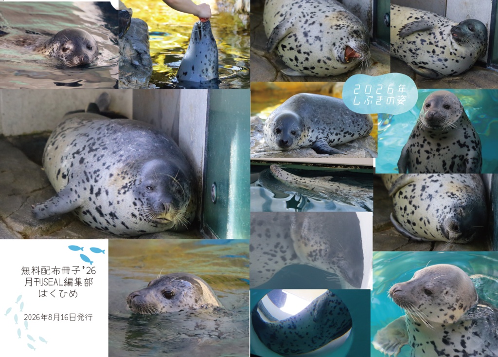 月刊SEAL編集部コミケ無料配布冊子