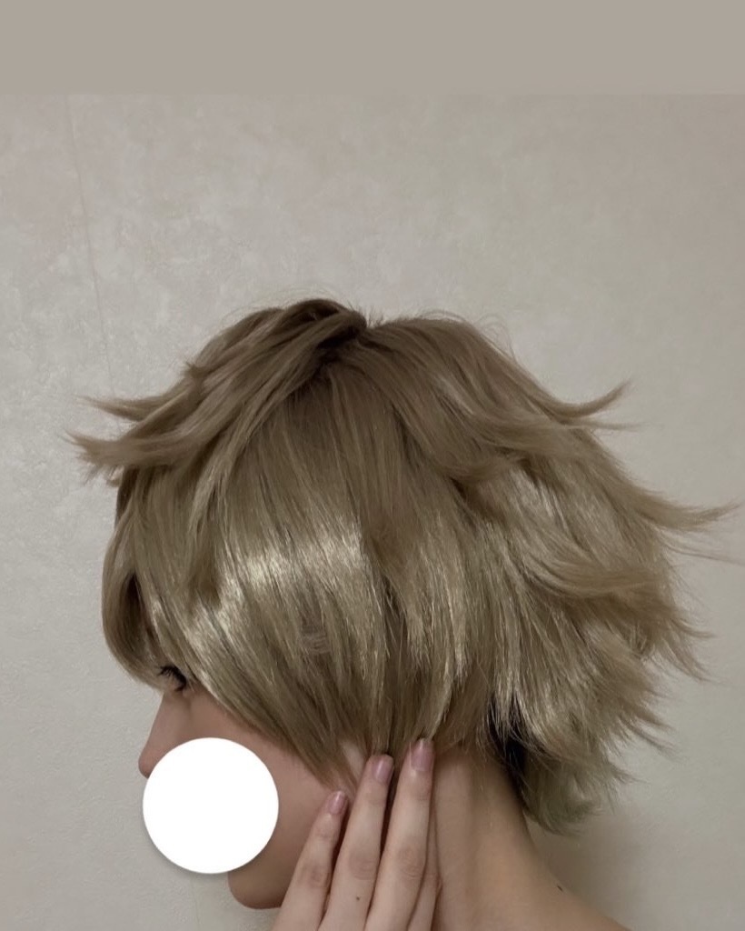【制作実績】ツイステッドワンダーランド/ラギー・ブッチ ウィッグ