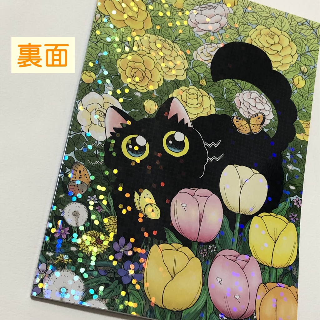 和菓子屋あんこちゃん 第2巻