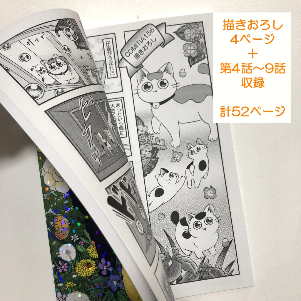 和菓子屋あんこちゃん 第2巻