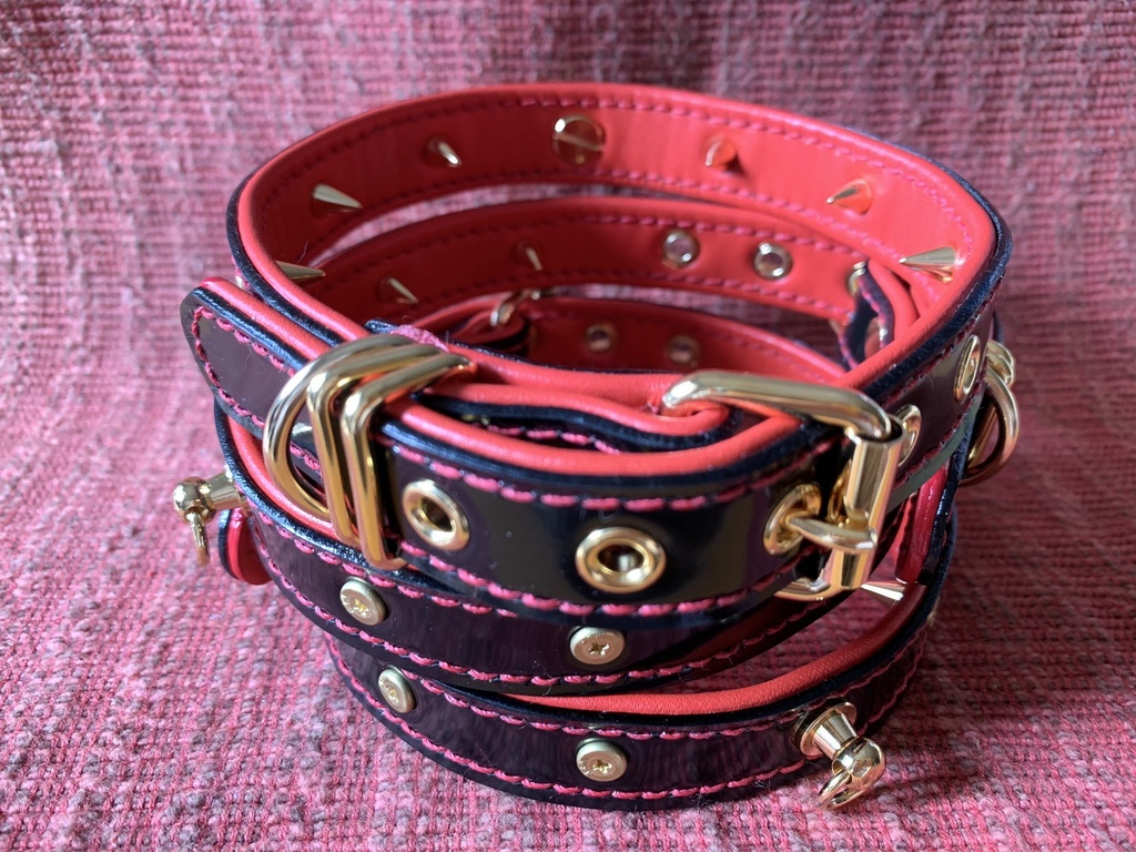 【受注生産】真園あきらイメージ首輪,リード【Romelo様コラボ商品】