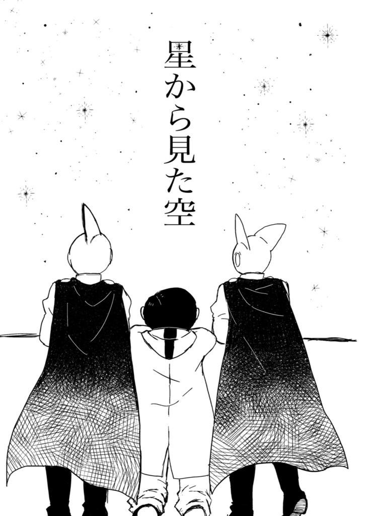 星から見た空