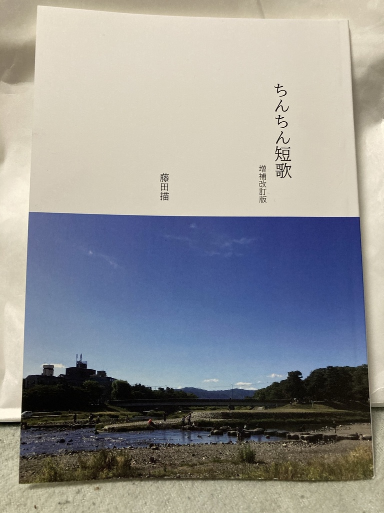 ちんちん短歌 増補改訂版