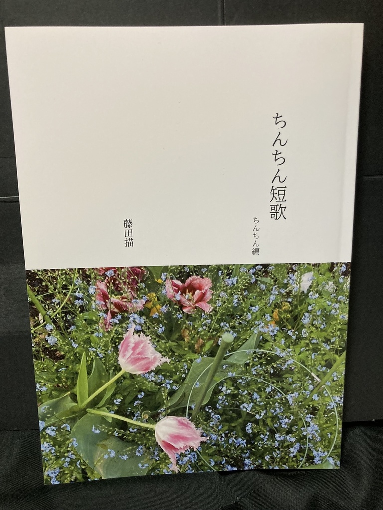 ちんちん短歌〈ちんちん編〉