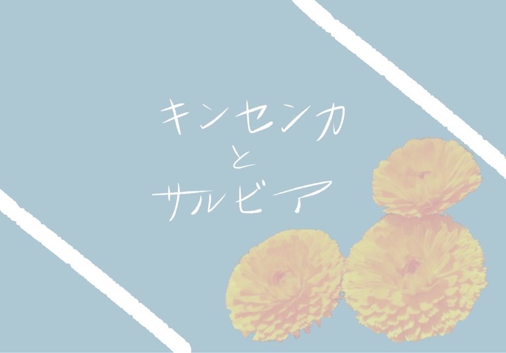 『キンセンカとサルビア』