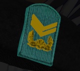 韓国軍副士官階級章 (Korean troops noncommissioned officer rank badge)