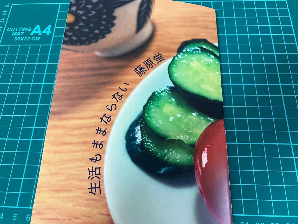 生活もままならない（自由律俳句集）