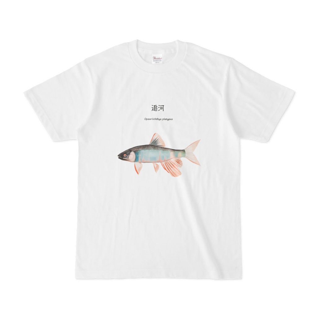 オイカワ Tシャツ