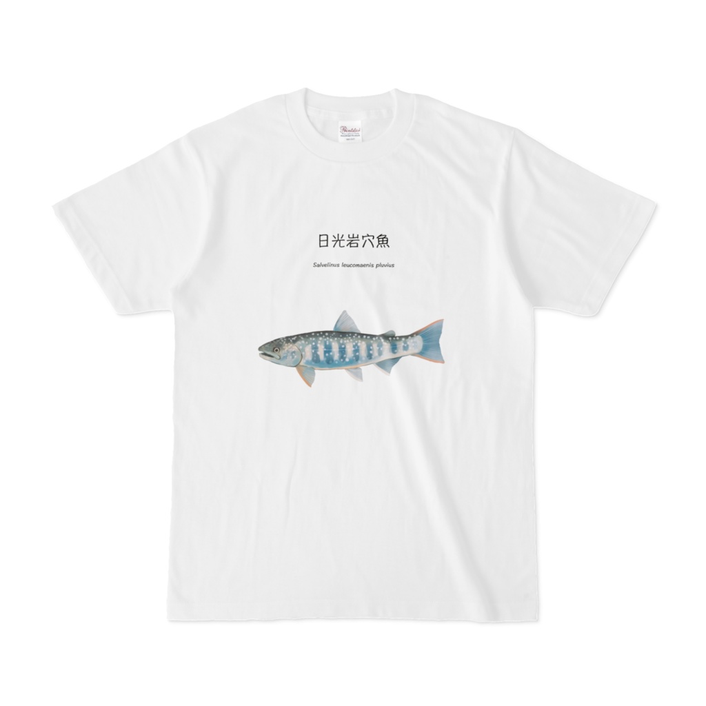 ニッコウイワナ　Tシャツ