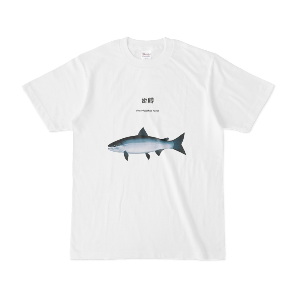 ヒメマス Tシャツ