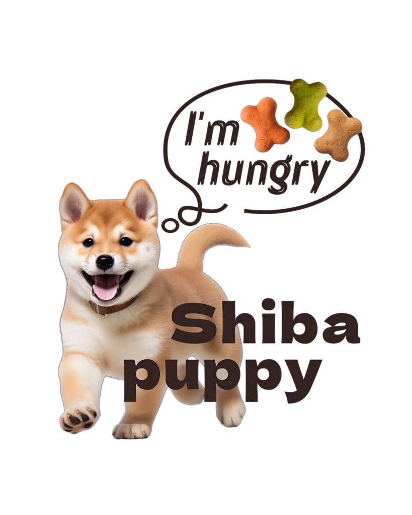 shiba puppy