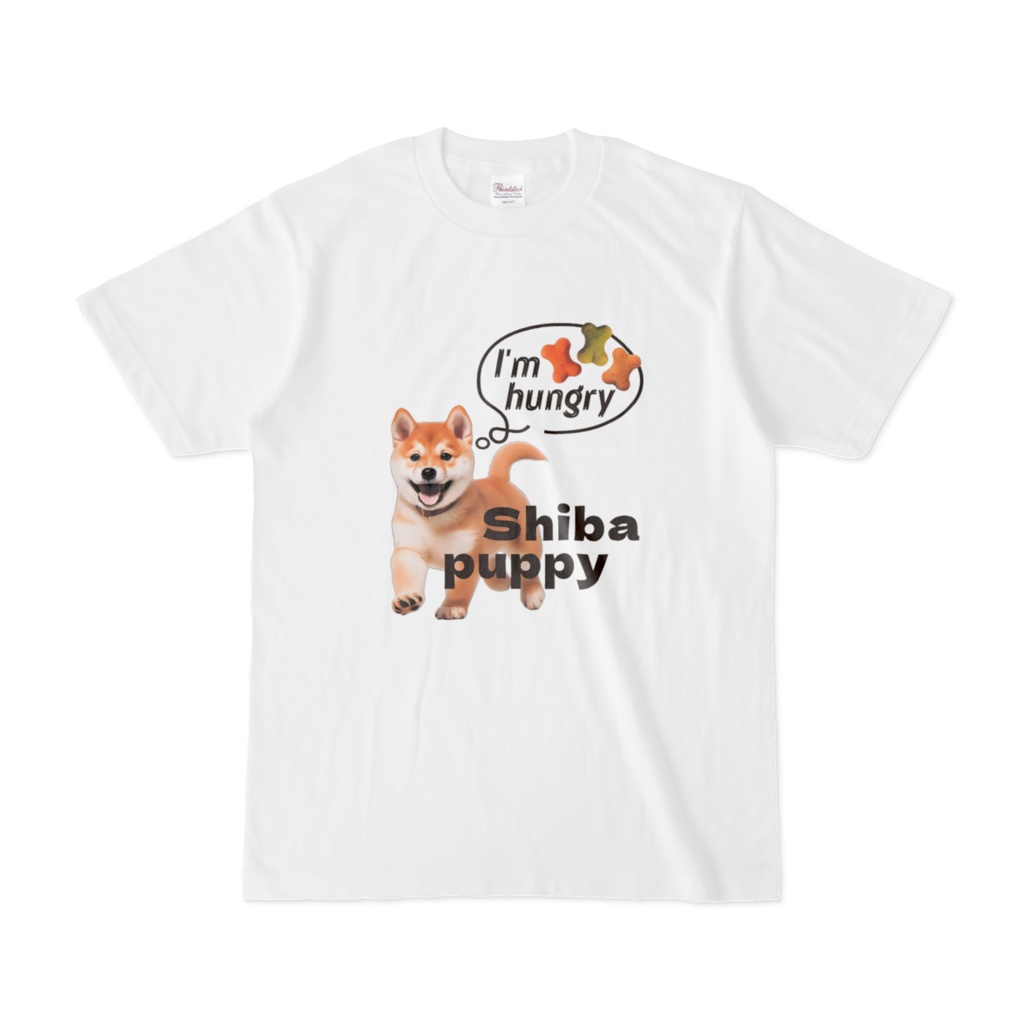 shiba puppy